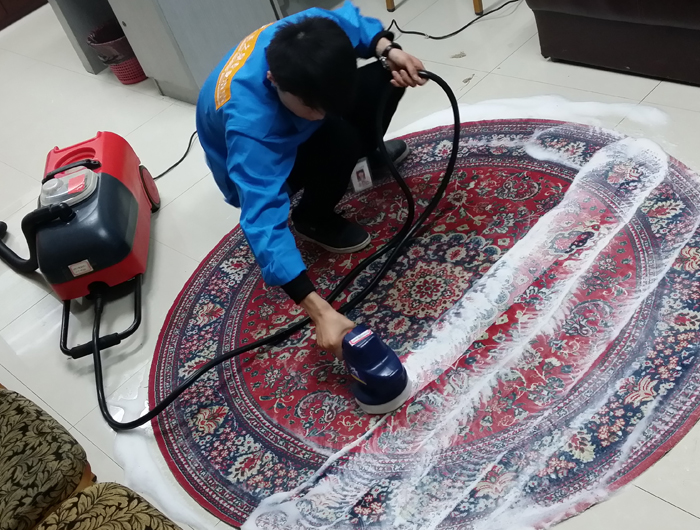 清洗地毯方法，地毯保�B的六��妙招
